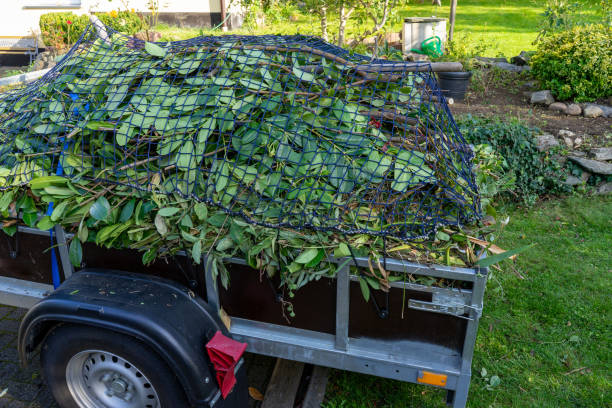 Best Scrap Metal Removal  in Beatrice, NE